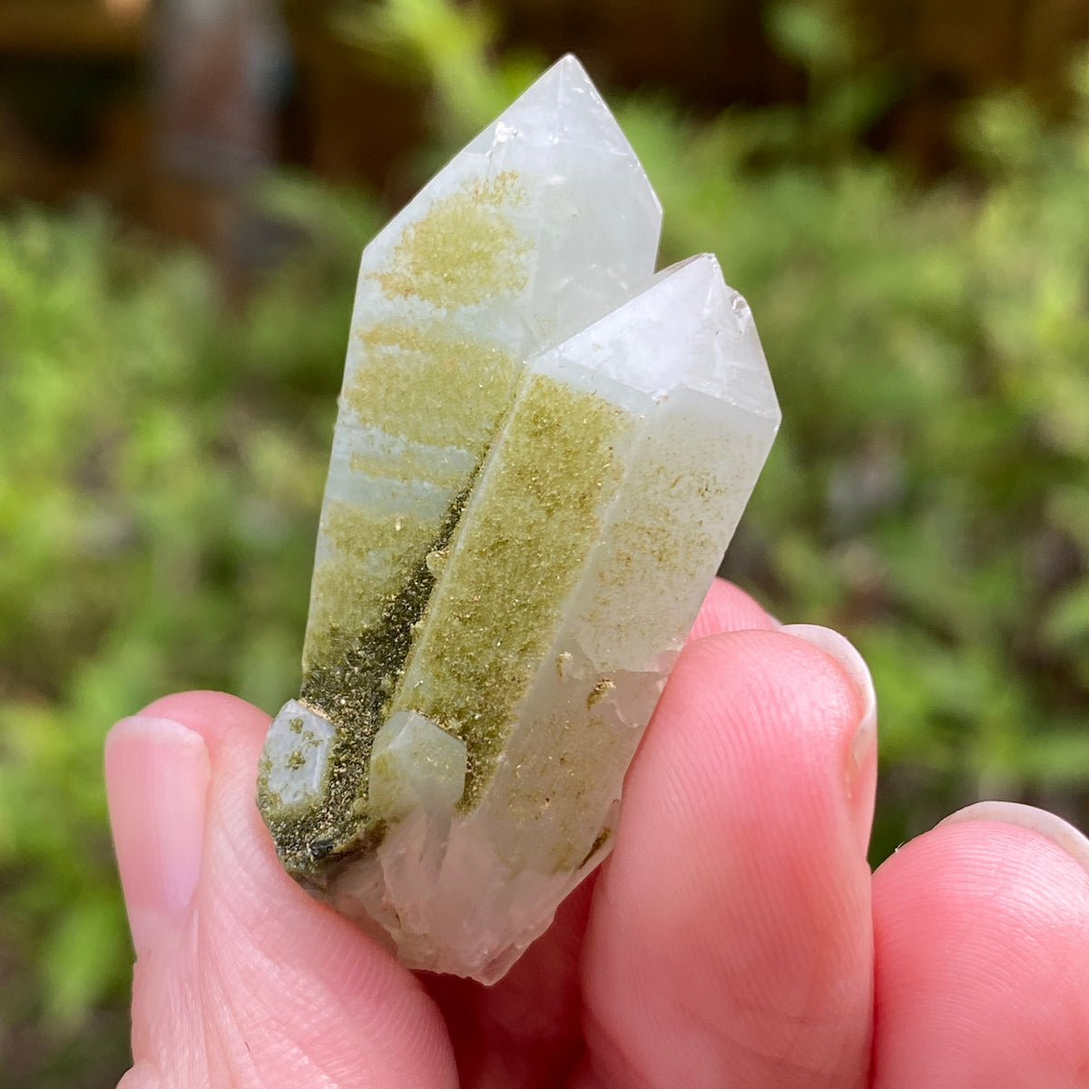 Lime Epidote on Quartz, Turkey