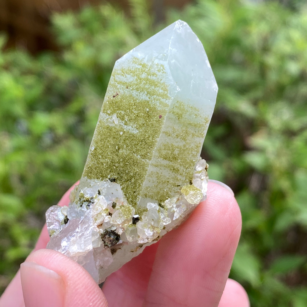 Lime Epidote on Quartz, Turkey