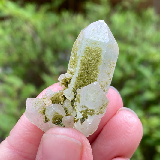 Lime Epidote on Quartz, Turkey