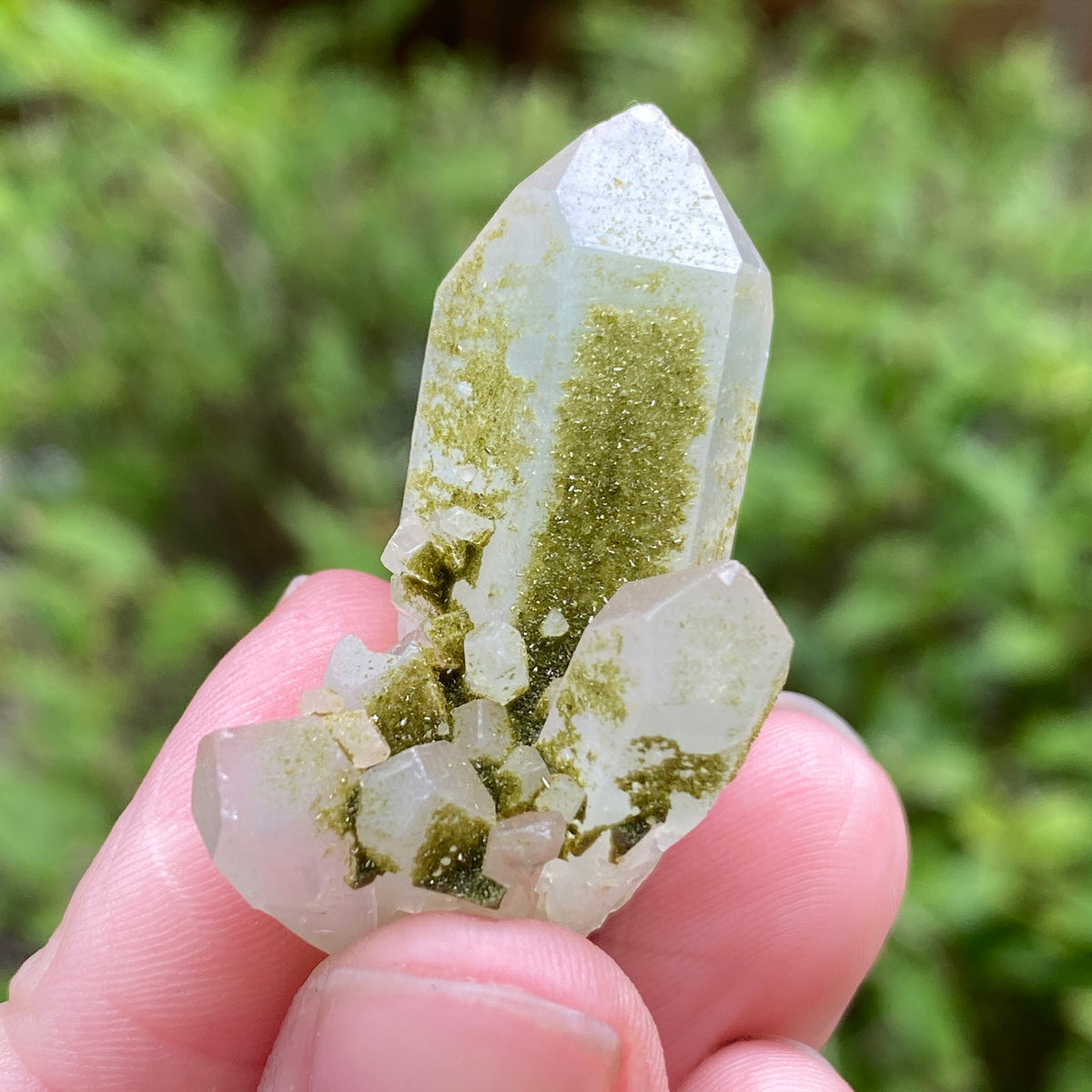 Lime Epidote on Quartz, Turkey