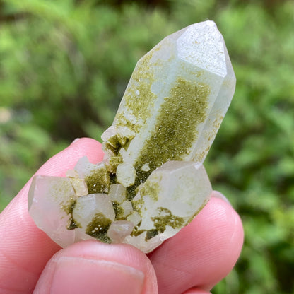 Lime Epidote on Quartz, Turkey