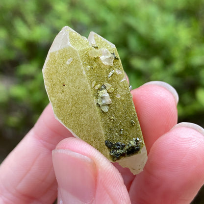 Lime Epidote on Quartz, Turkey
