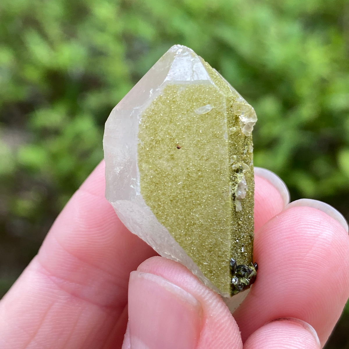 Lime Epidote on Quartz, Turkey