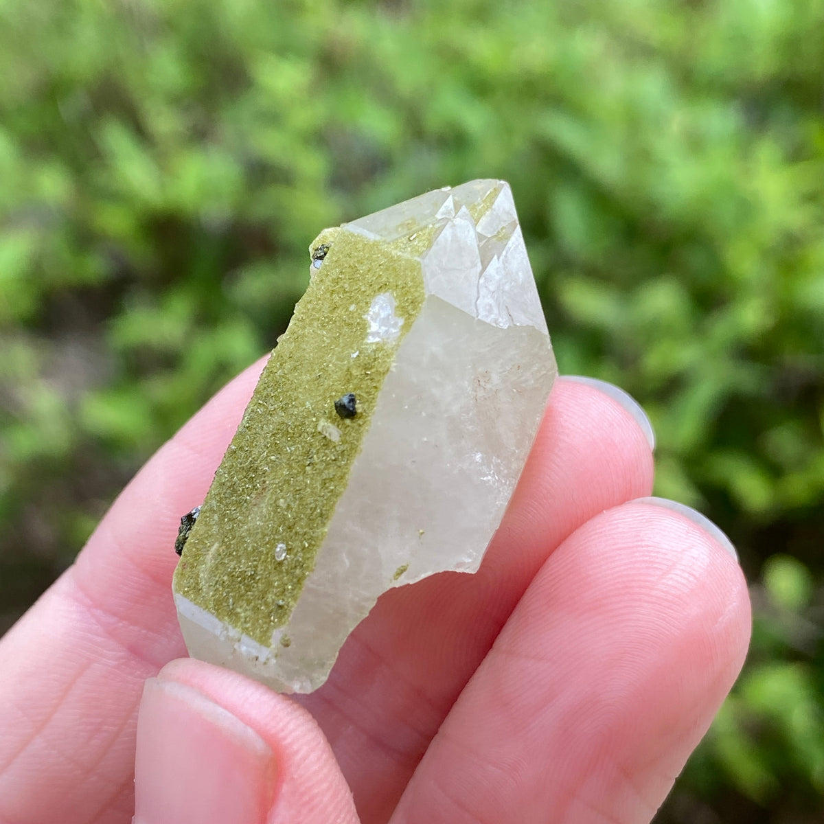 Lime Epidote on Quartz, Turkey