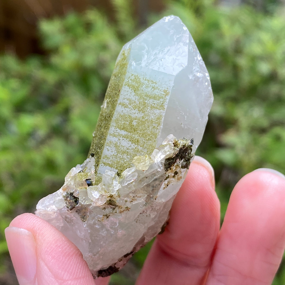 Lime Epidote on Quartz, Turkey