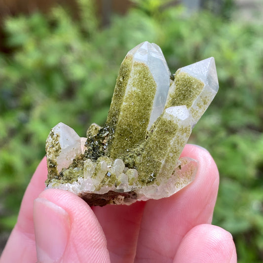 Lime Epidote on Quartz, Turkey