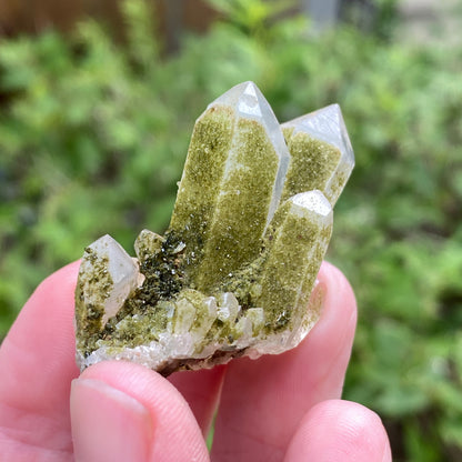 Lime Epidote on Quartz, Turkey