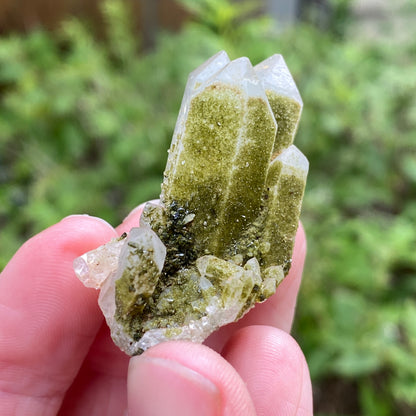 Lime Epidote on Quartz, Turkey