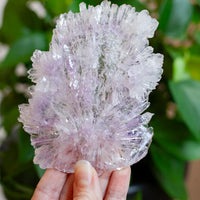 Flower Amethyst Specimen