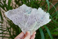 Flower Amethyst Crystal