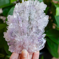 Flower Amethyst Specimen