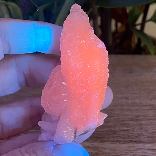 Pink Feather Calcite, New Deposit