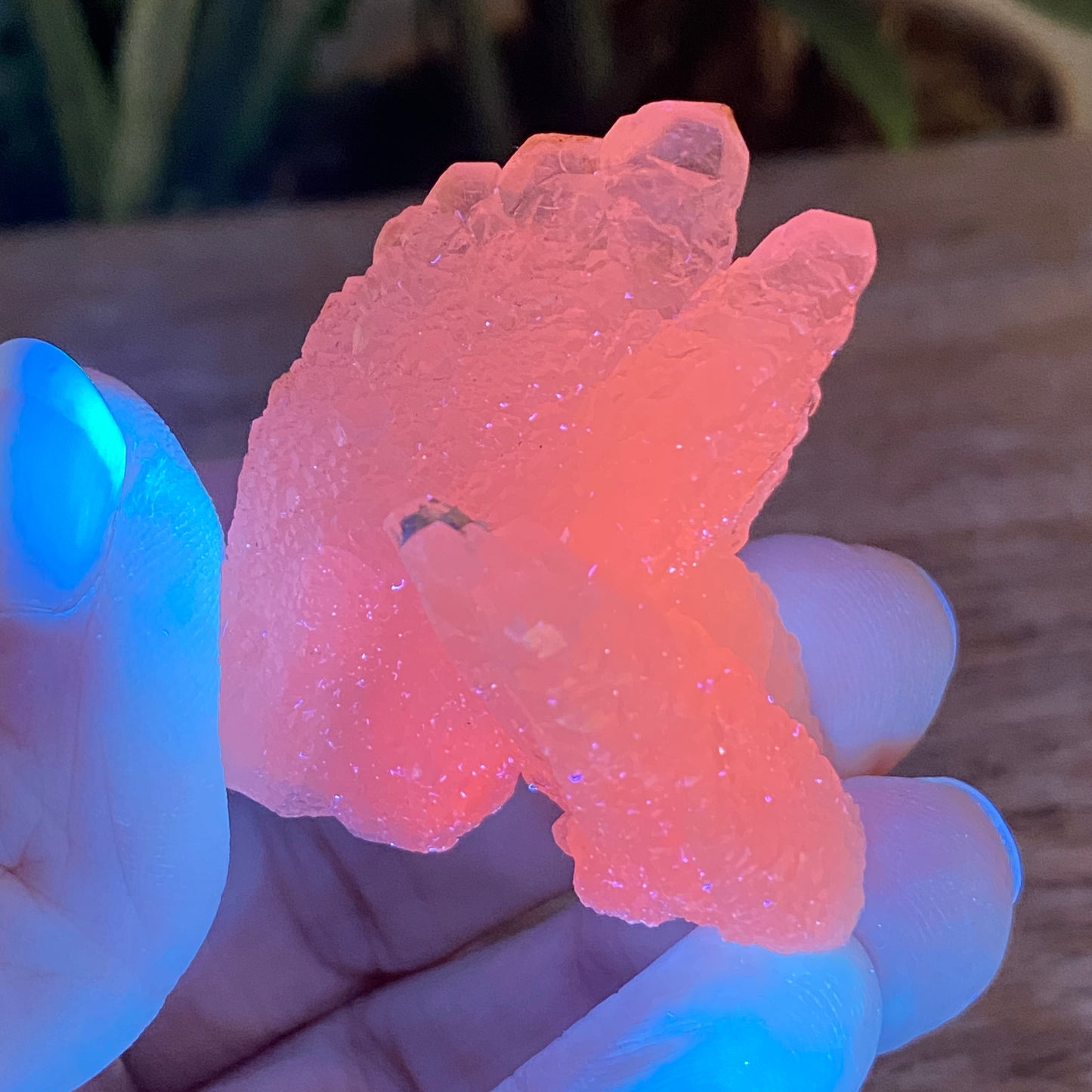 Pink Feather Calcite, New Deposit