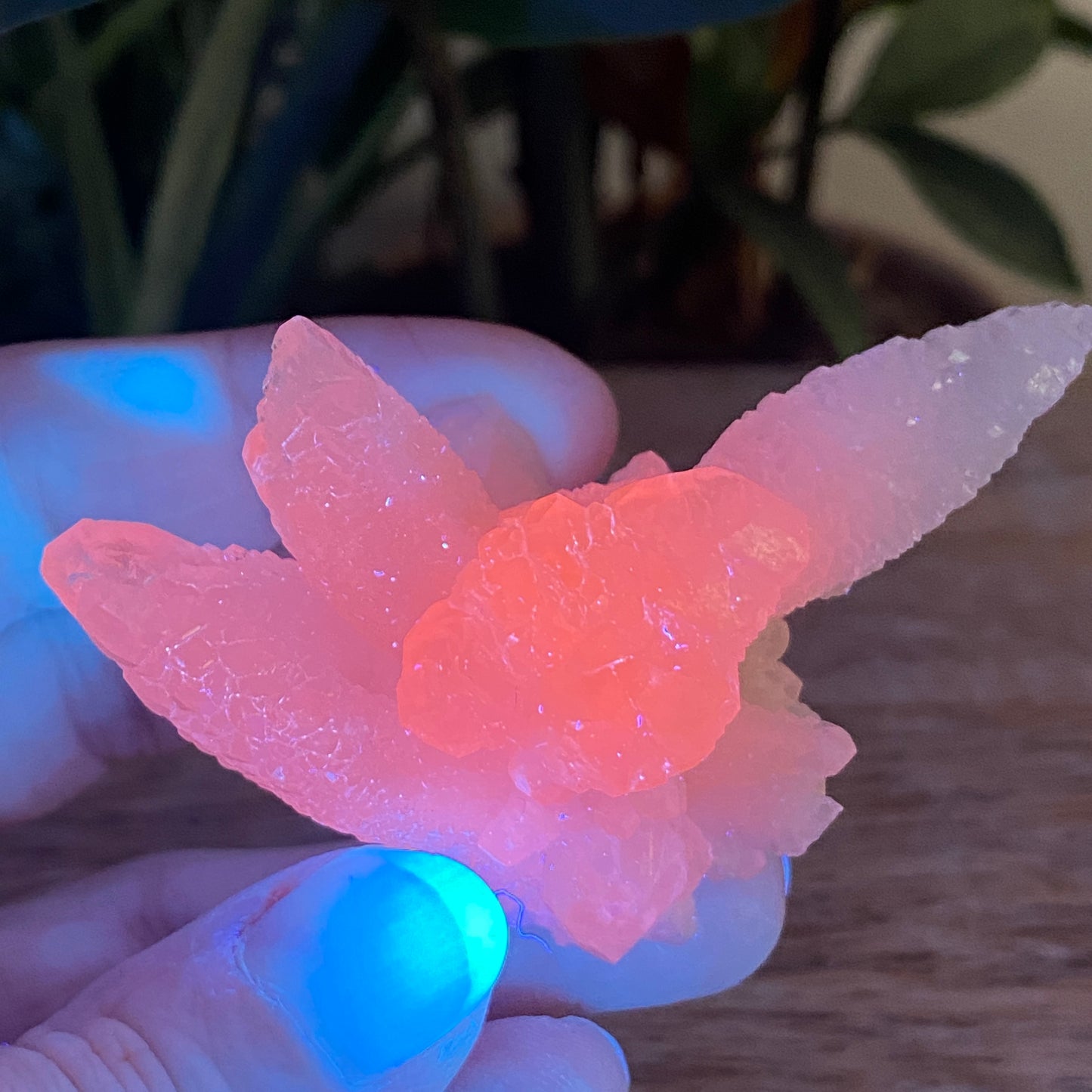 Pink Feather Calcite, New Deposit
