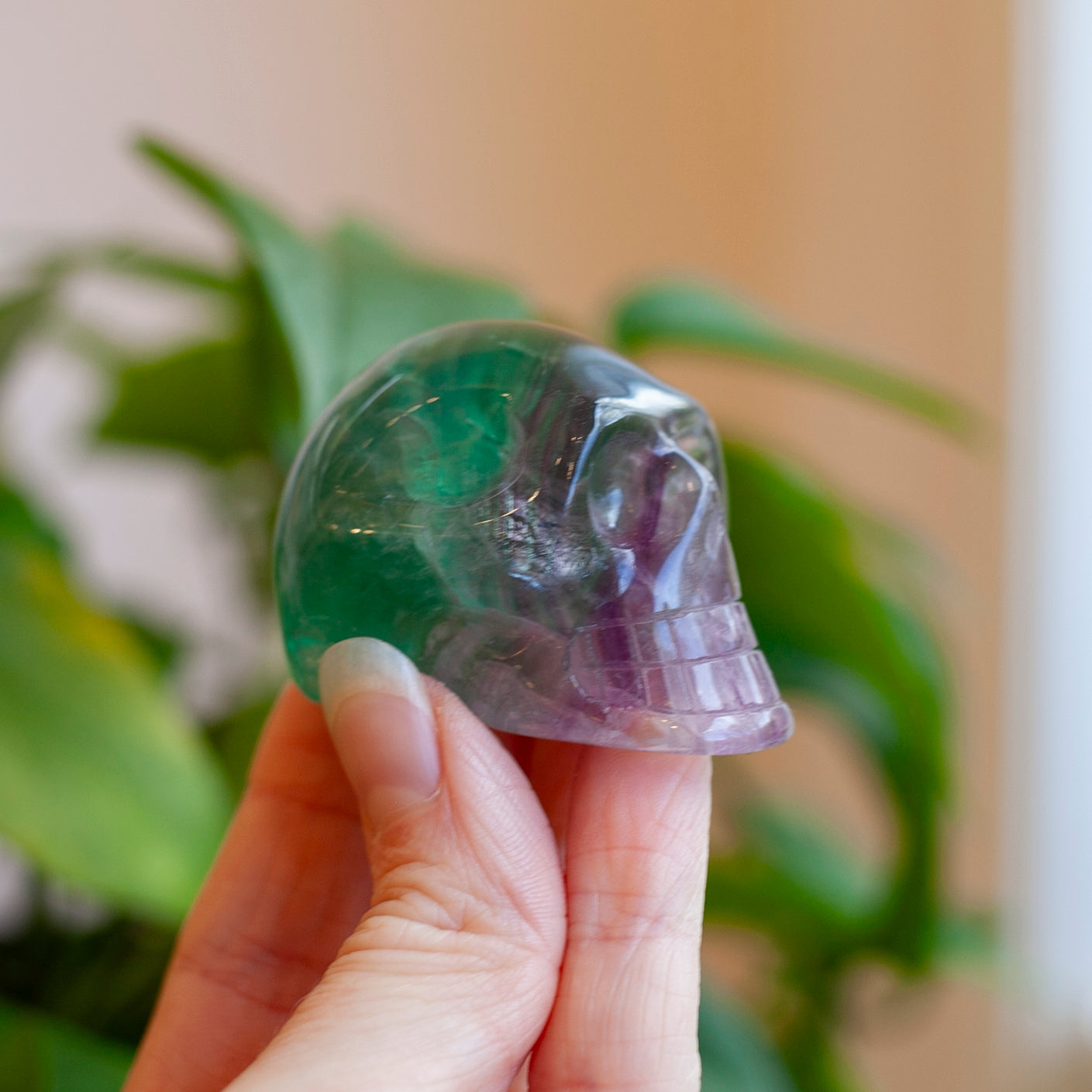 Rainbow Fluorite Skull