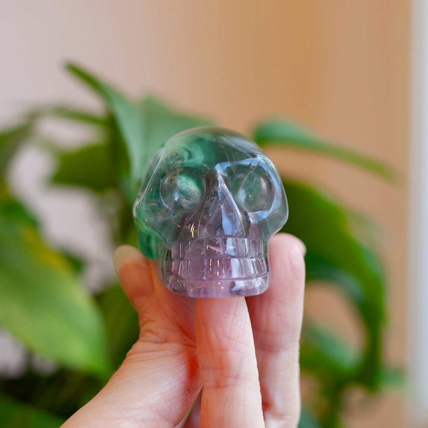 Rainbow Fluorite Skull