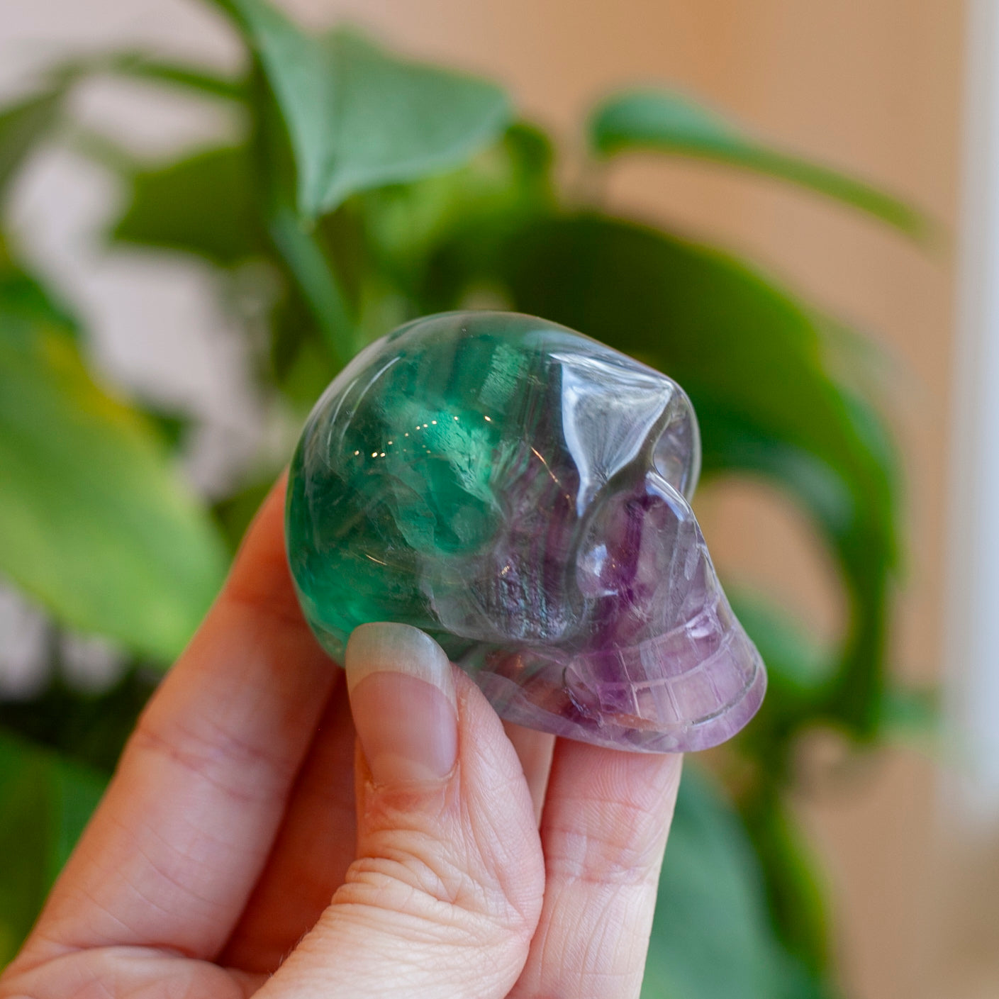 Rainbow Fluorite Skull