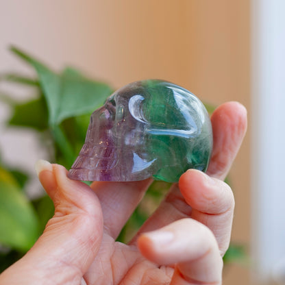 Rainbow Fluorite Skull