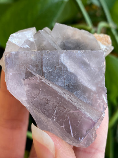 Fluorescent Fluorite Specimen, Deer Trail Mine Utah