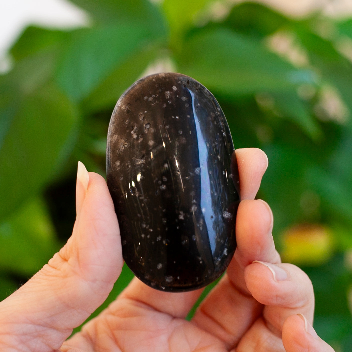 Galaxy Obsidian Palm Stone, Uncommon