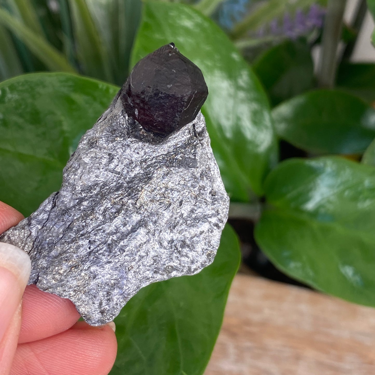 Garnet in Graphite, Red Embers Mine Massachusetts