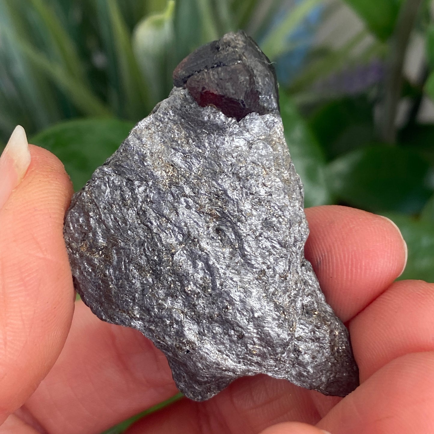 Garnet in Graphite, Red Embers Mine Massachusetts
