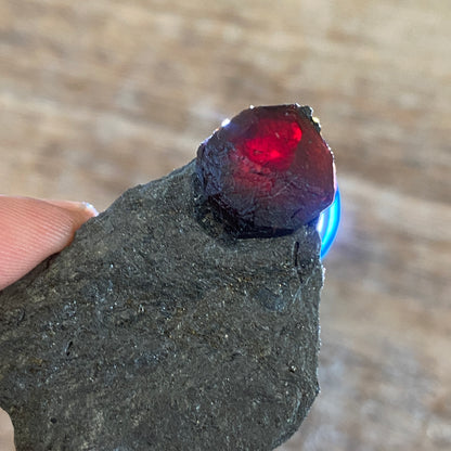 Garnet in Graphite, Red Embers Mine Massachusetts