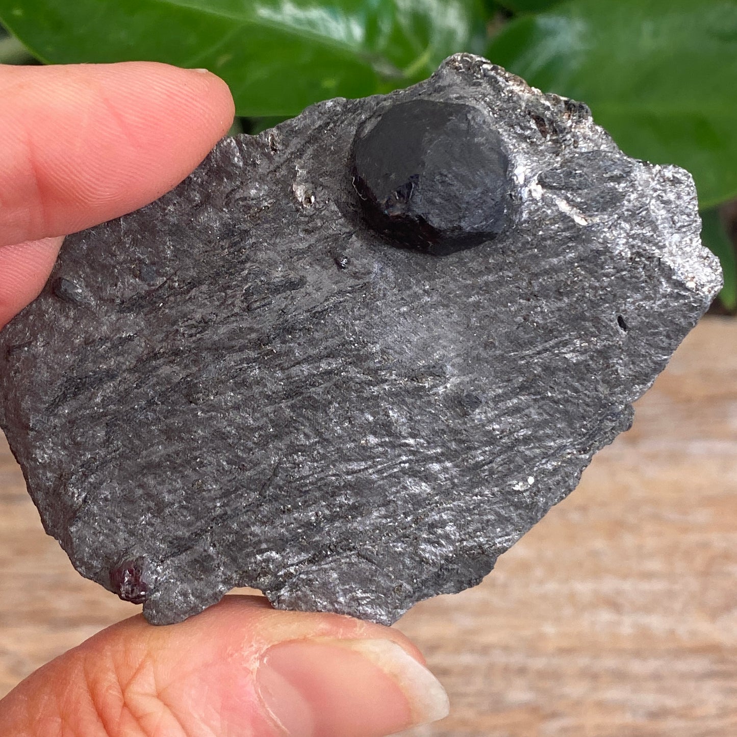 Garnet in Graphite, Red Embers Mine Massachusetts