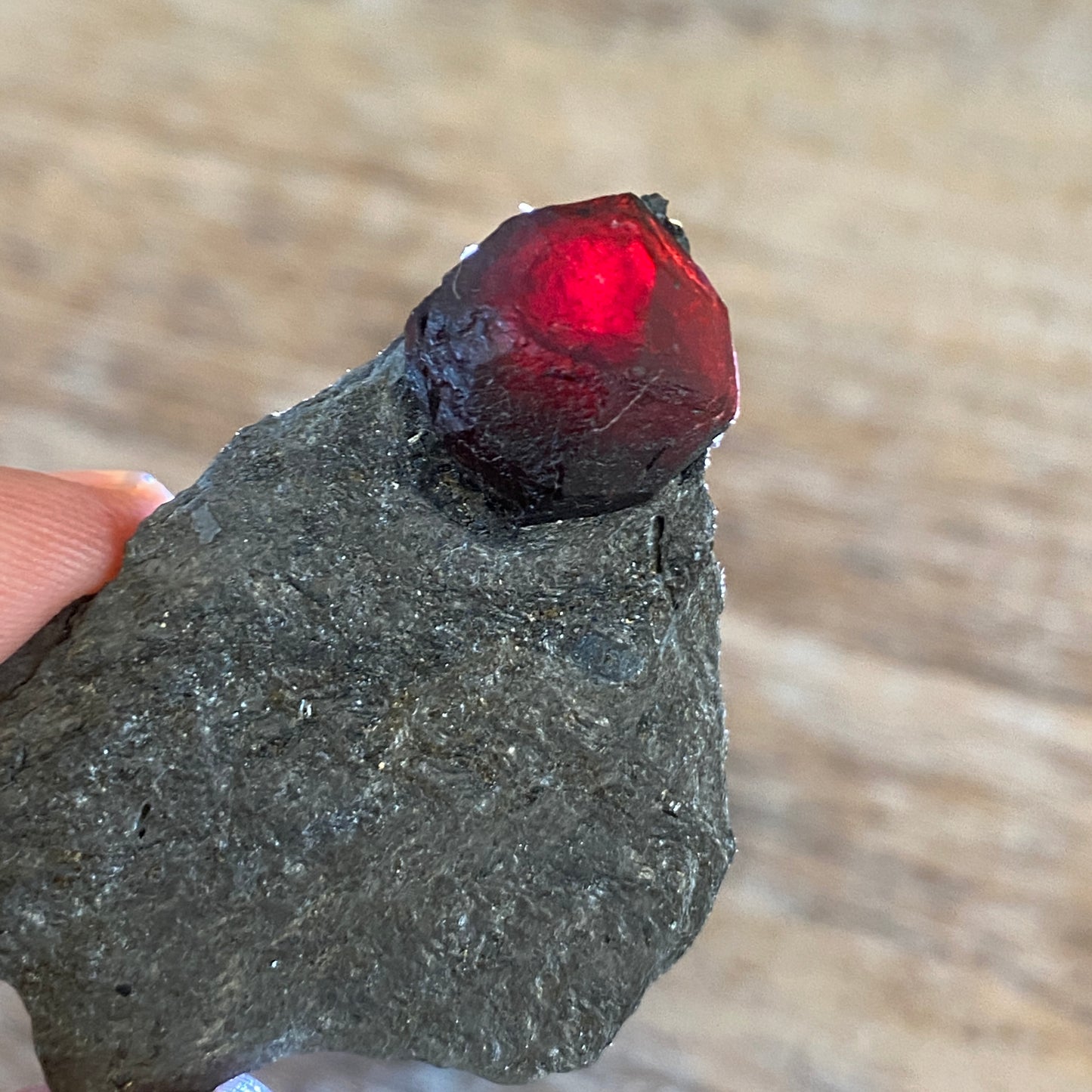 Garnet in Graphite, Red Embers Mine Massachusetts