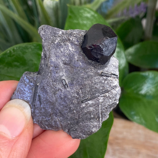 Garnet in Graphite, Red Embers Mine Massachusetts