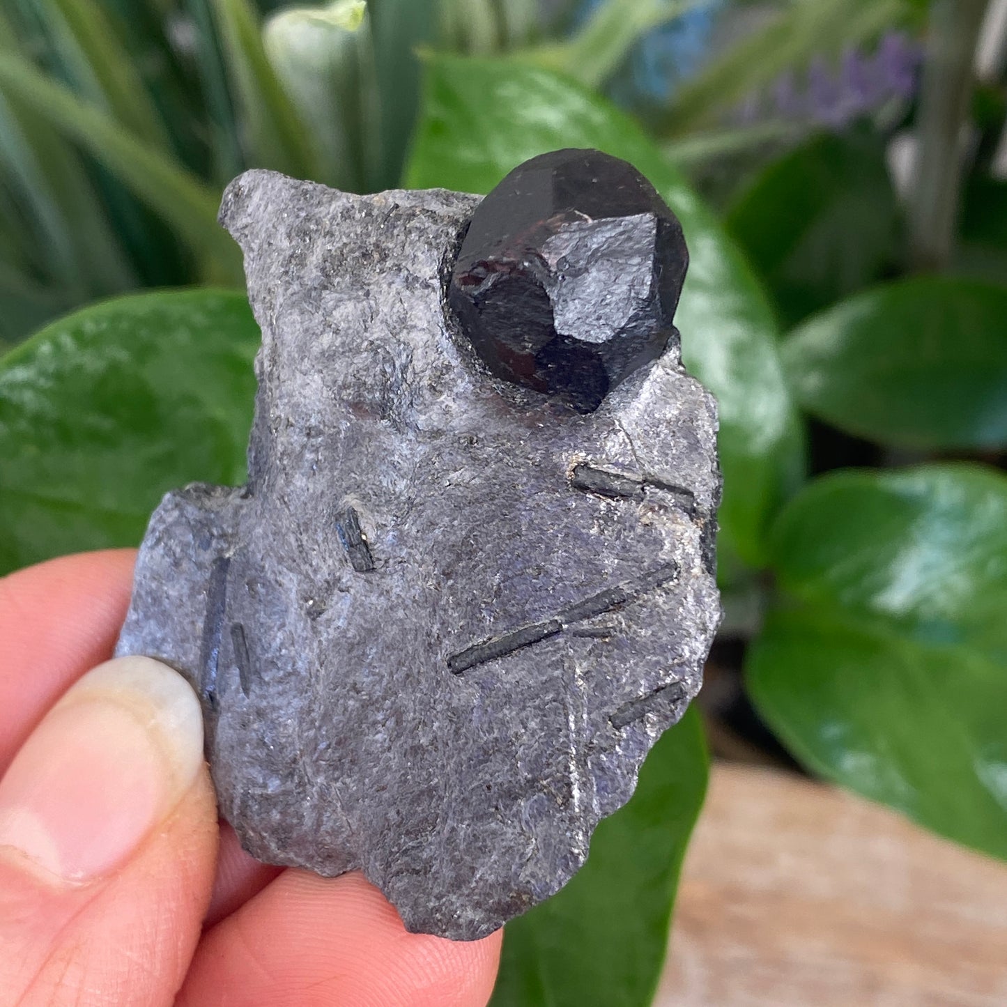 Garnet in Graphite, Red Embers Mine Massachusetts