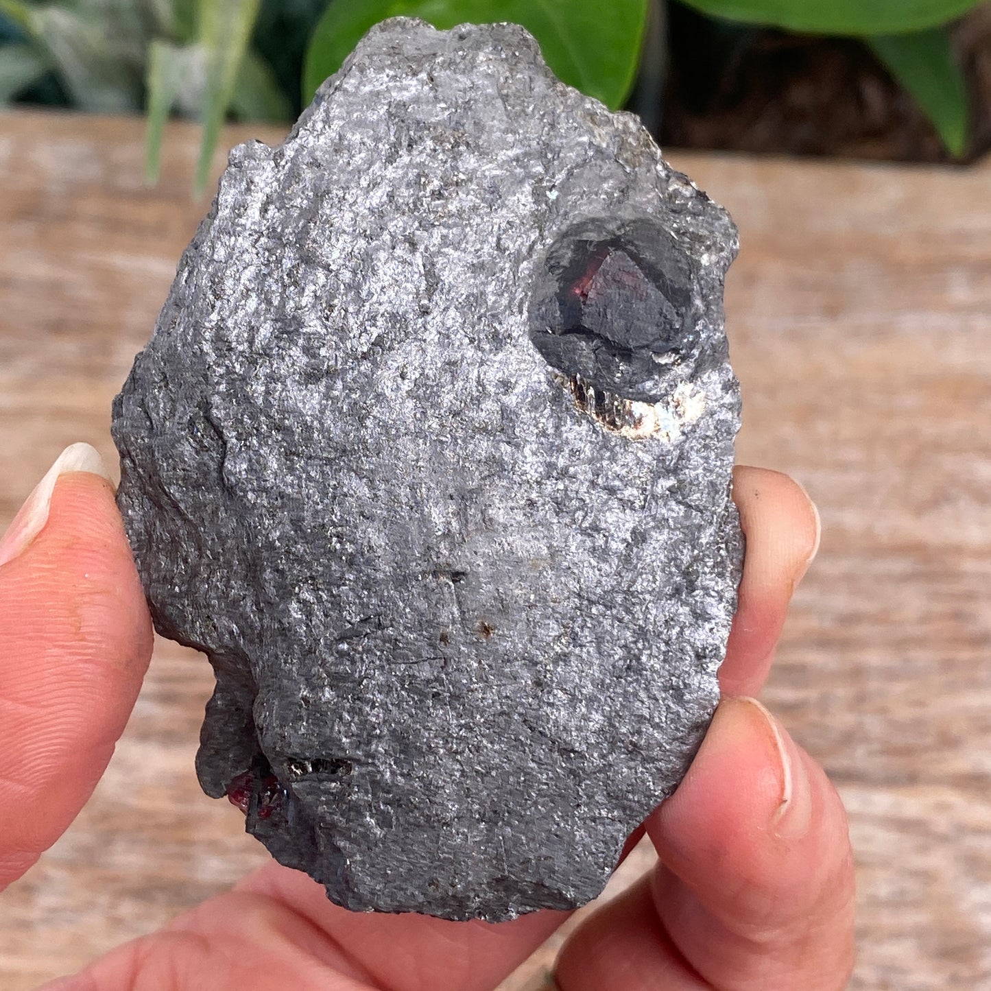 Garnet in Graphite, Red Embers Mine Massachusetts