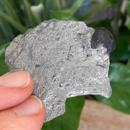 Garnet in Graphite, Red Embers Mine Massachusetts