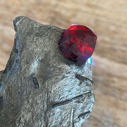 Garnet in Graphite, Red Embers Mine Massachusetts