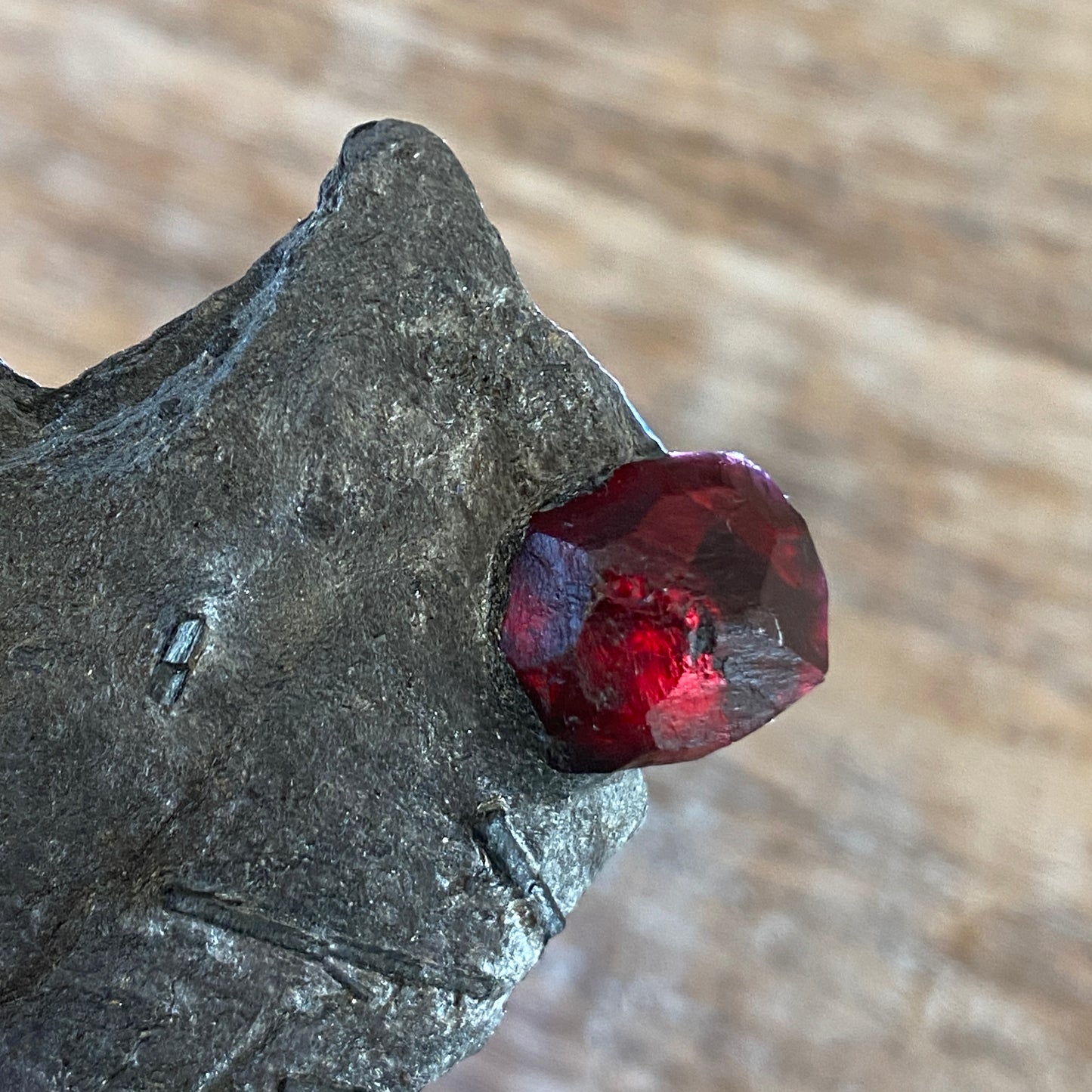 Garnet in Graphite, Red Embers Mine Massachusetts