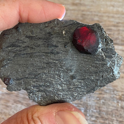Garnet in Graphite, Red Embers Mine Massachusetts