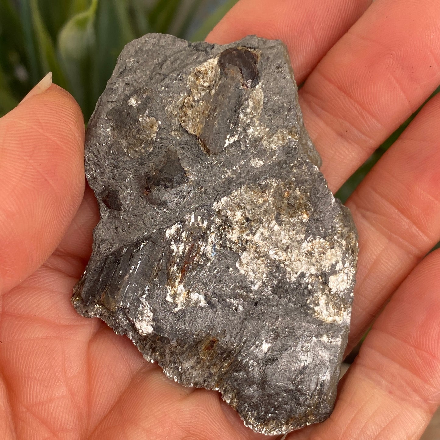 Garnet in Graphite, Red Embers Mine Massachusetts