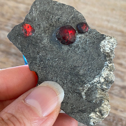 Garnet in Graphite, Red Embers Mine Massachusetts