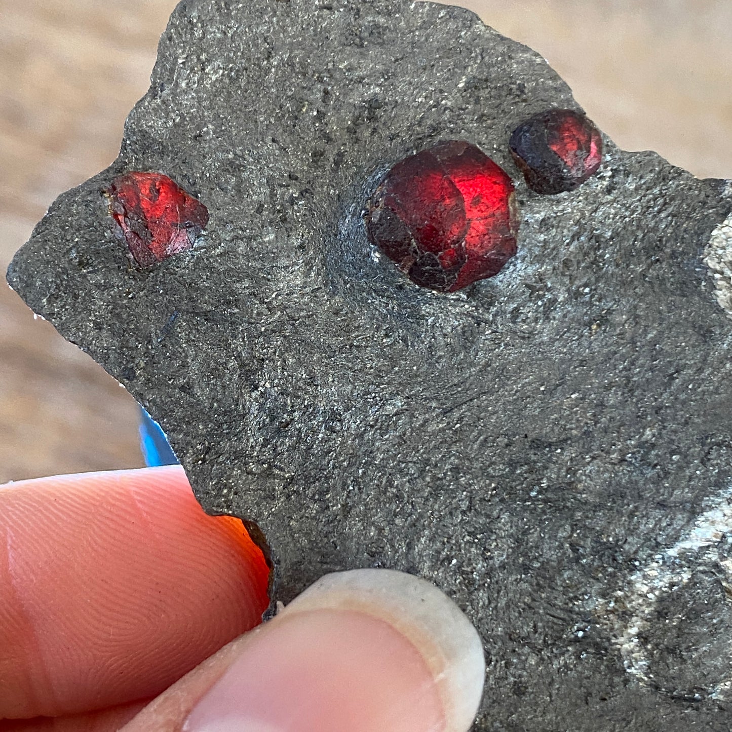 Garnet in Graphite, Red Embers Mine Massachusetts