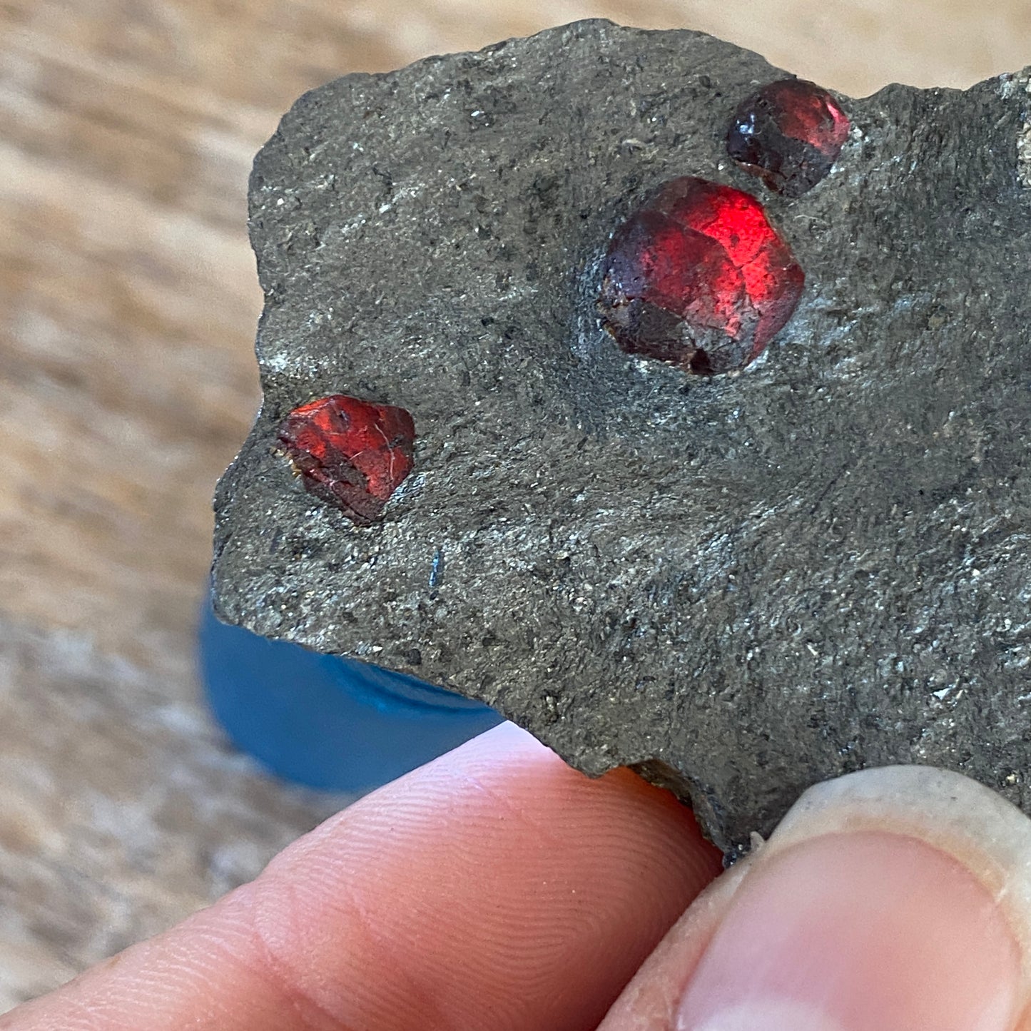 Garnet in Graphite, Red Embers Mine Massachusetts