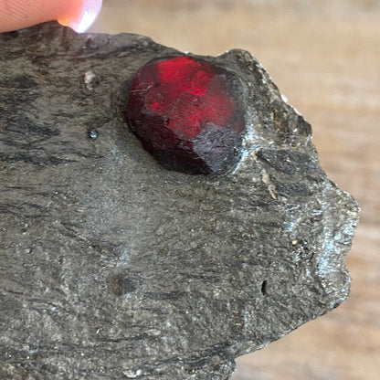 Garnet in Graphite, Red Embers Mine Massachusetts