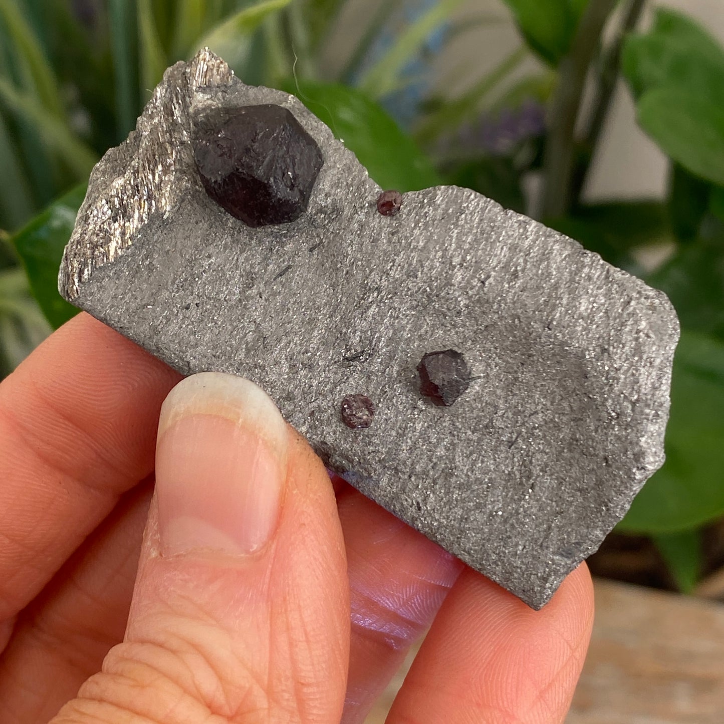 Garnet in Graphite, Red Embers Mine Massachusetts