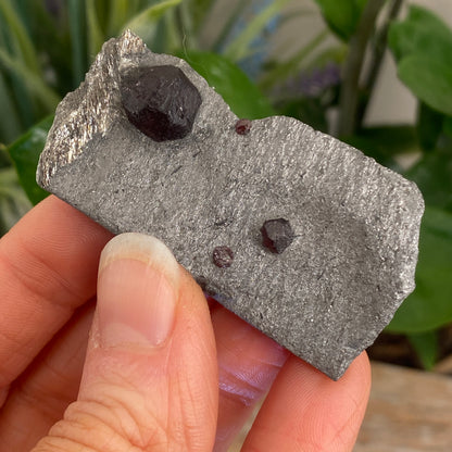 Garnet in Graphite, Red Embers Mine Massachusetts