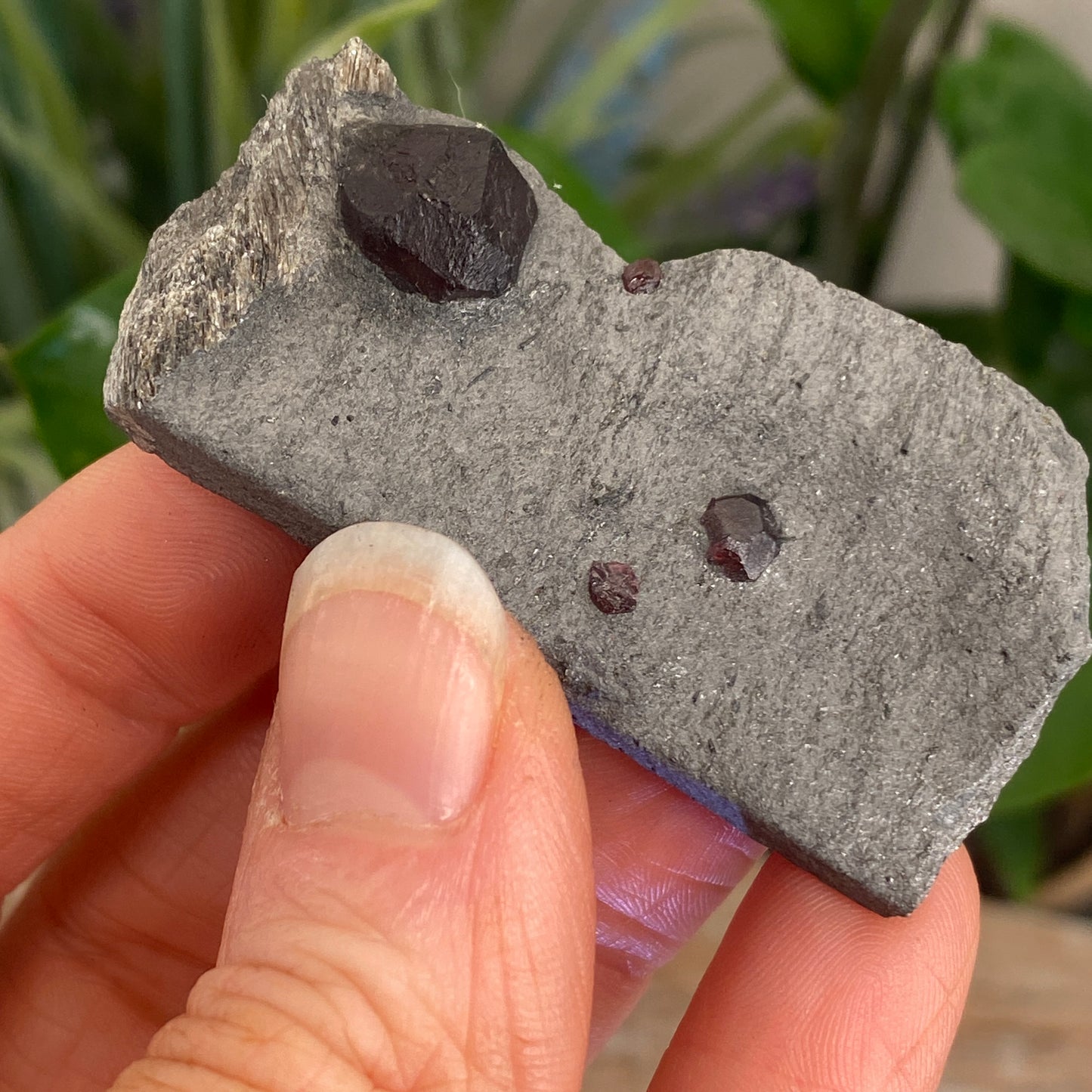 Garnet in Graphite, Red Embers Mine Massachusetts