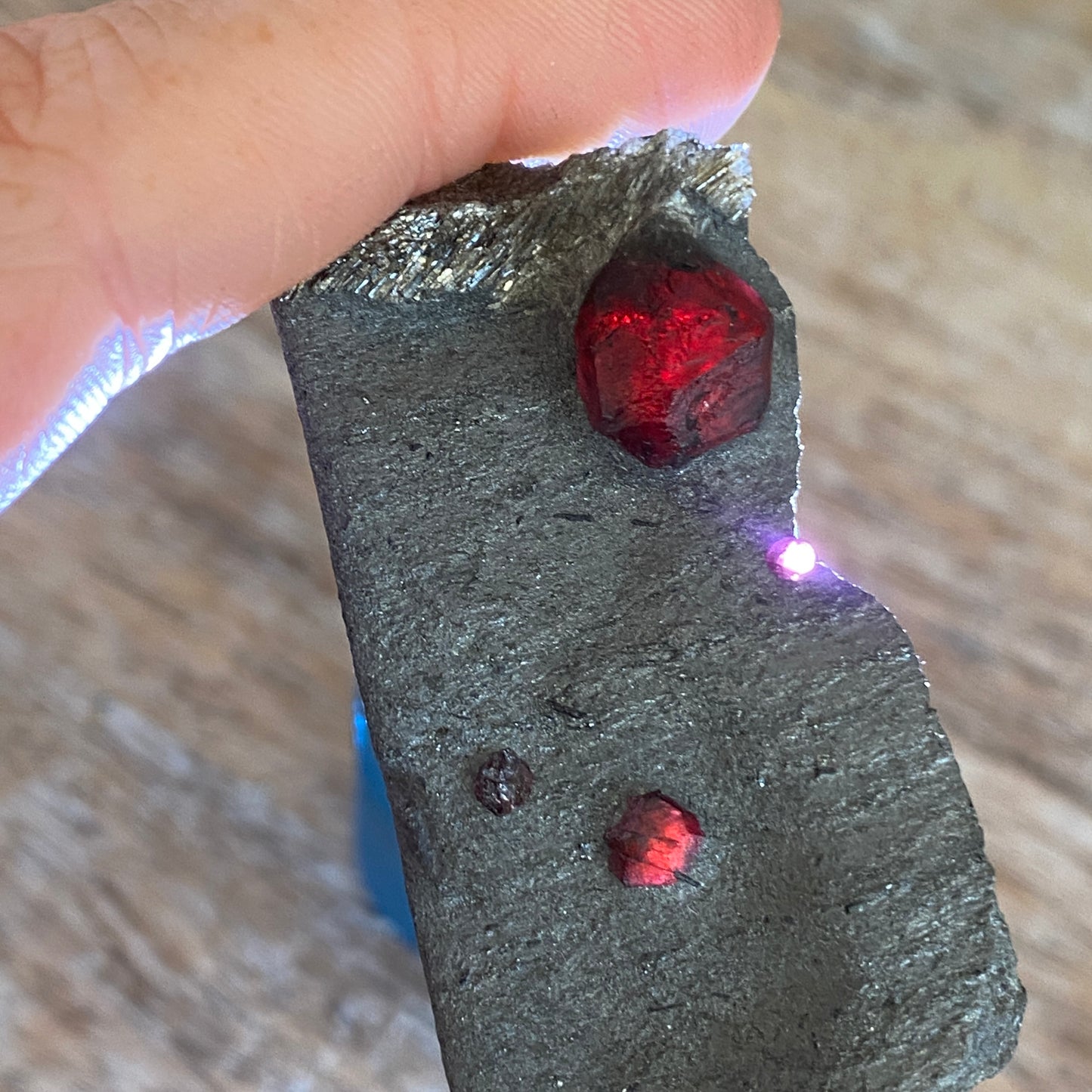 Garnet in Graphite, Red Embers Mine Massachusetts