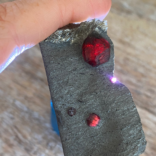 Garnet in Graphite, Red Embers Mine Massachusetts