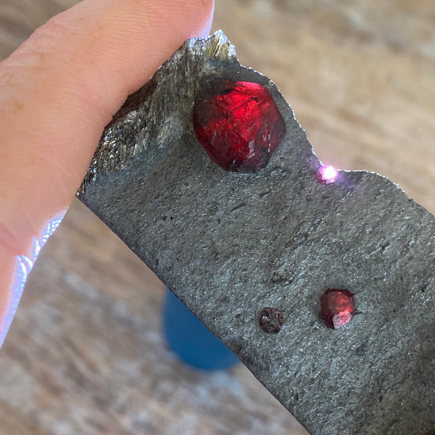 Garnet in Graphite, Red Embers Mine Massachusetts