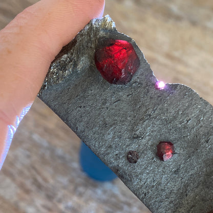 Garnet in Graphite, Red Embers Mine Massachusetts