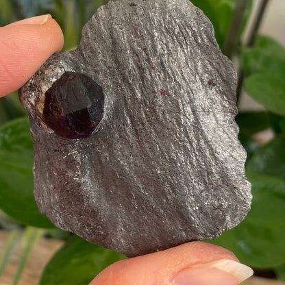 Garnet in Graphite, Red Embers Mine Massachusetts
