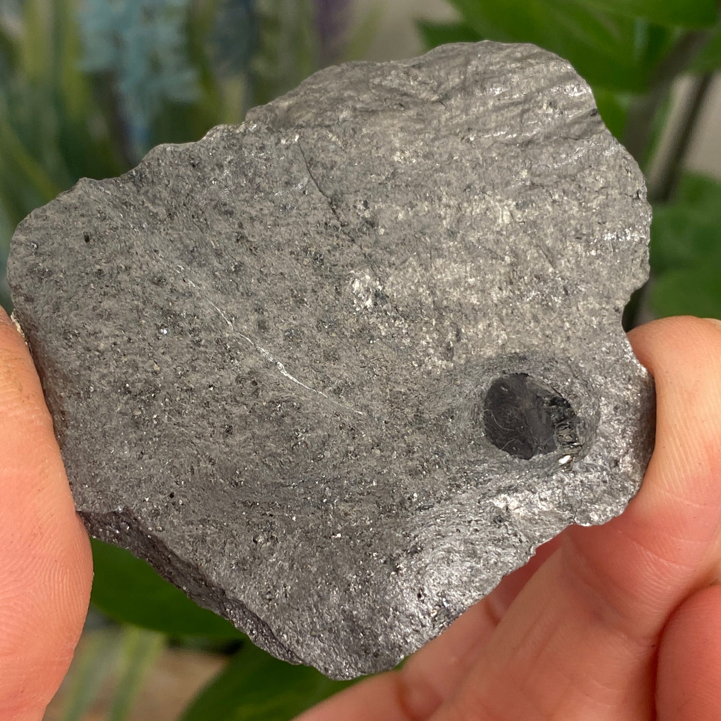 Garnet in Graphite, Red Embers Mine Massachusetts